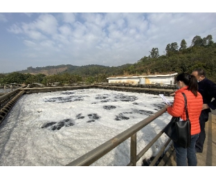 復(fù)合碳源與總氮降解劑在電鍍廢水中的應(yīng)用—庫巴魯