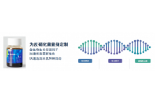 復(fù)合碳源對(duì)比葡萄糖優(yōu)勢