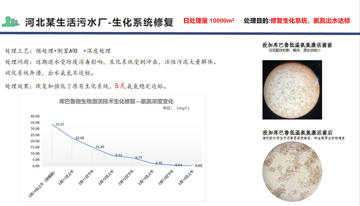 春節(jié)復工河北某生活污水廠生化系統(tǒng)修復