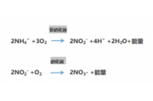 食品廢水氨氮超標(biāo)，你可以這么做