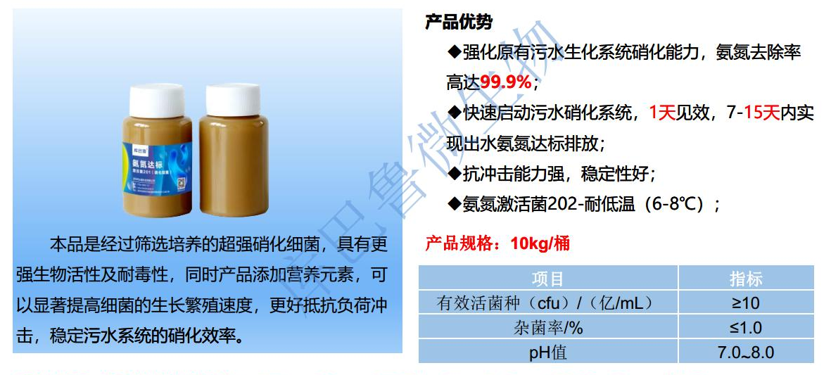 低溫氨氮激活菌